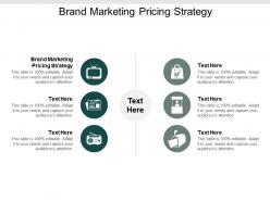Brand marketing pricing strategy ppt powerpoint presentation model example cpb