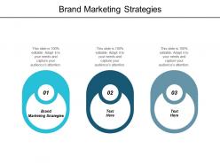 Brand marketing strategies ppt powerpoint presentation inspiration slide portrait cpb