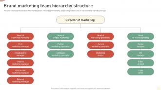 Brand Marketing Team Hierarchy Structure Approaches Of Traditional Media