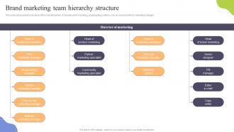 Brand Marketing Team Hierarchy Structure Increasing Sales Through Traditional Media