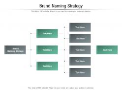 Brand naming strategy ppt powerpoint presentation model portfolio cpb