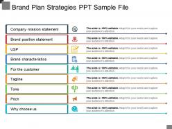 Brand plan strategies ppt sample file