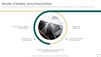 Brand Portfolio Management Guide Powerpoint Presentation Slides Branding CD V Content Ready Engaging