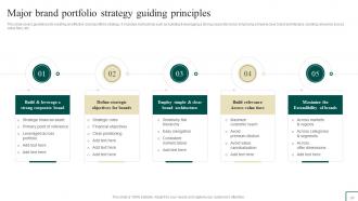 Brand Portfolio Management Guide Powerpoint Presentation Slides Branding CD V Informative Engaging