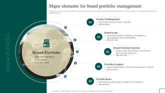 Brand Portfolio Management Major Elements For Brand Portfolio Management Branding SS