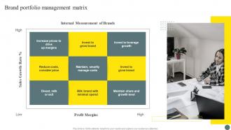 Brand Portfolio Management Matrix Brand Portfolio Management Process