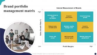 Brand Portfolio Management Matrix Brand Portfolio Strategy Guide