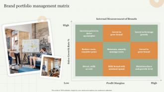 Brand Portfolio Management Matrix Strategic Approach Toward Optimizing