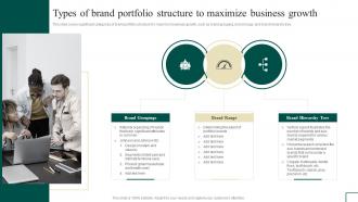 Brand Portfolio Management Types Of Brand Portfolio Structure To Maximize Business Branding SS