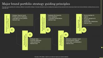 Brand Portfolio Strategy And Architecture Major Brand Portfolio Strategy Guiding Principles