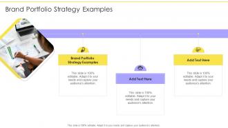Brand Portfolio Strategy Examples In Powerpoint And Google Slides Cpb