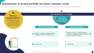 Brand Portfolio Strategy Guide Introduction To Brand Portfolio For Better Customer Reach