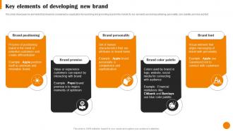 Brand Positioning And Launch Strategy Key Elements Of Developing New Brand MKT SS V