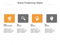 Brand positioning matrix ppt powerpoint presentation gallery images cpb