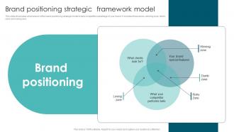 Brand Positioning Strategic Market Segmentation Strategies To Identify MKT SS V