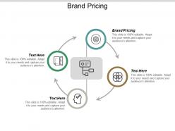 Brand pricing ppt powerpoint presentation visual aids example file cpb