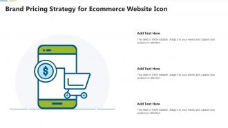 Brand pricing strategy for ecommerce website icon