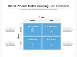 Brand Product Matrix Including Line Extension
