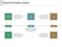 Brand promotion advice ppt powerpoint presentation infographics structure cpb