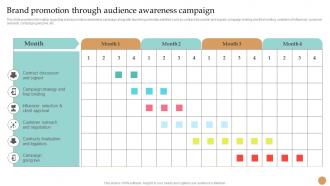 Brand Promotion Through Audience Awareness Campaign Strategy Toolkit To Manage Brand Identity