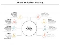 Brand protection strategy ppt powerpoint presentation gallery microsoft cpb