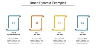 Brand pyramid examples ppt powerpoint presentation show pictures cpb