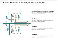 Brand reputation management strategies ppt powerpoint presentation file guidelines cpb