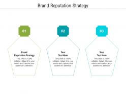 Brand reputation strategy ppt powerpoint presentation infographic template guide cpb