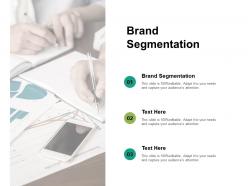 Brand segmentation ppt powerpoint presentation background images cpb