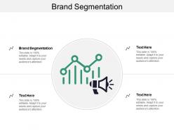 Brand segmentation ppt powerpoint presentation file graphics pictures cpb