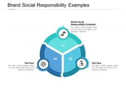 Brand social responsibility examples ppt powerpoint presentation infographics cpb
