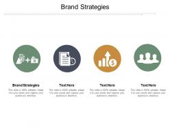 Brand strategies ppt powerpoint presentation file influencers cpb