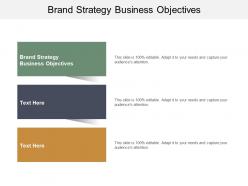 Brand strategy business objectives ppt powerpoint presentation ideas grid cpb