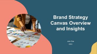 Brand Strategy Canvas Overview And Insights PPT Presentation AT