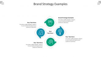 Brand strategy examples ppt powerpoint presentation summary samples cpb
