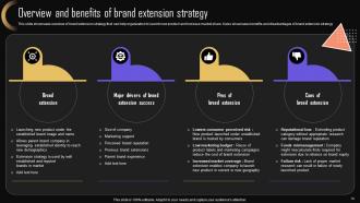 Brand Strategy For Increasing Market Share And Company Presence MKT CD V Visual Editable