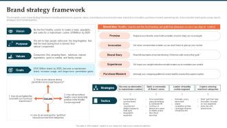 Brand Strategy Framework Brand Launch Plan Ppt Information