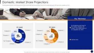 Brand Strategy Framework Domestic Market Share Projections