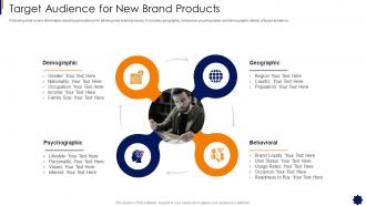 Brand Strategy Framework Target Audience For New Brand Products