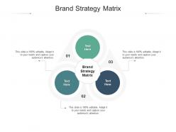 Brand strategy matrix ppt powerpoint presentation inspiration example file cpb