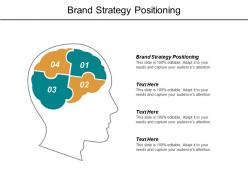Brand strategy positioning ppt powerpoint presentation file example file cpb