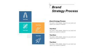 Brand strategy process ppt powerpoint presentation pictures background designs cpb
