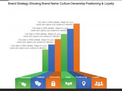 Brand strategy showing brand name culture ownership positioning and loyalty