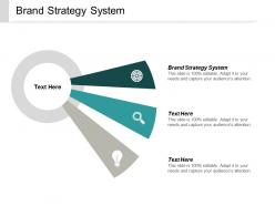 Brand strategy system ppt powerpoint presentation visual aids outline cpb
