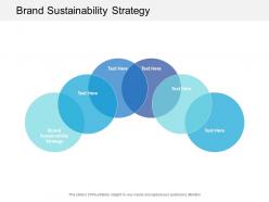 Brand sustainability strategy ppt powerpoint presentation pictures summary cpb