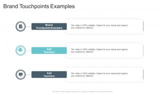 Brand Touchpoints Examples In Powerpoint And Google Slides Cpb