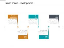 Brand voice development ppt powerpoint presentation gallery brochure cpb