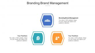 Branding brand management ppt powerpoint presentation portfolio example cpb