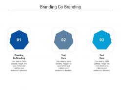 Branding co branding ppt powerpoint presentation file example introduction cpb