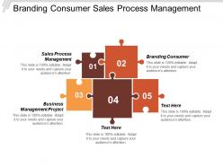 Branding consumer sales process management business management project cpb